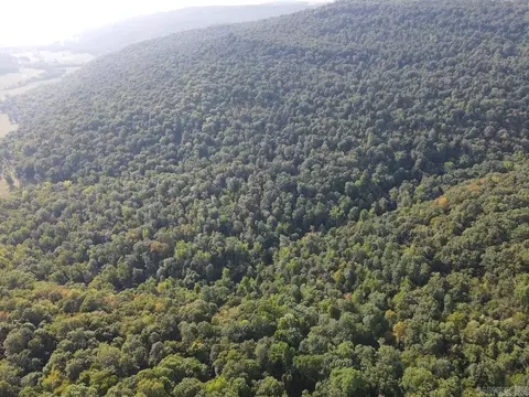 Na, Mountain View, AR 72560 photo 30