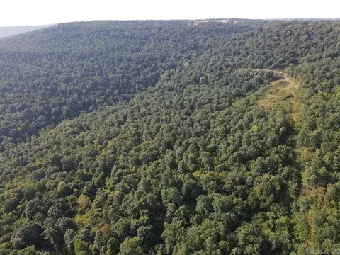 Na, Mountain View, AR 72560 photo 31