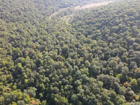 Na, Mountain View, AR 72560 photo 19