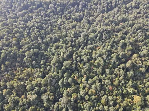 Na, Mountain View, AR 72560 photo 21