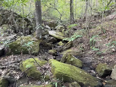 Na, Mountain View, AR 72560 photo 45