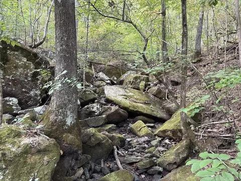 Na, Mountain View, AR 72560 photo 47