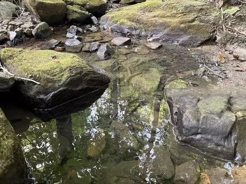 Na, Mountain View, AR 72560 photo 2