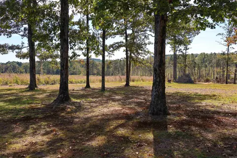 Exterior - 125 Clinton Loop, Donaldson, AR 71941 photo 15 of 22
