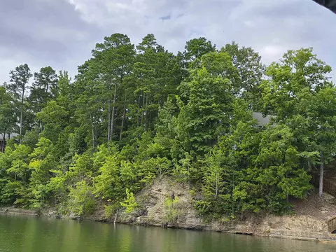 6 Sacedon Cir, Hot Springs Village, AR 71909