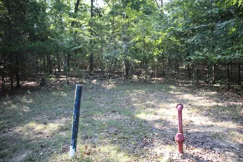 lot38 Jeb Rd, Flippin, AR 72634 photo 2