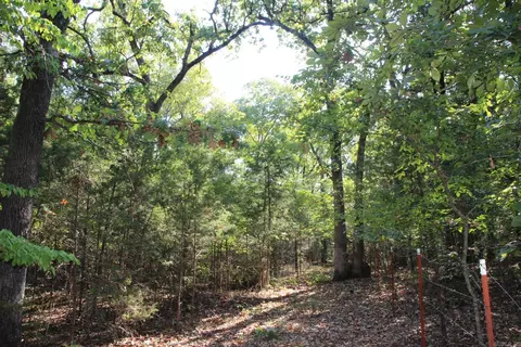 lot38 Jeb Rd, Flippin, AR 72634 photo 6
