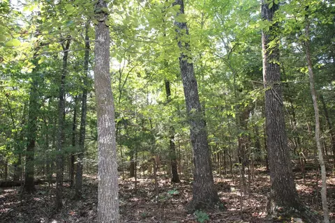 lot38 Jeb Rd, Flippin, AR 72634 photo 4