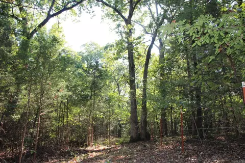 lot38 Jeb Rd, Flippin, AR 72634 photo 7