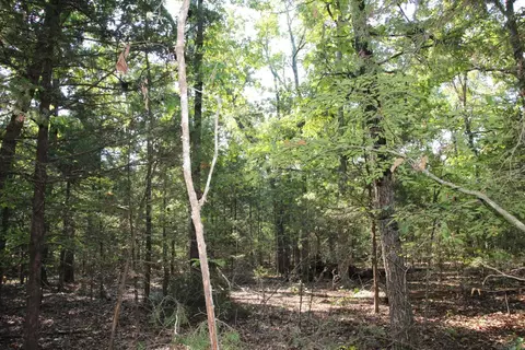 lot38 Jeb Rd, Flippin, AR 72634 photo 3