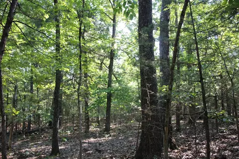 lot38 Jeb Rd, Flippin, AR 72634 photo 5