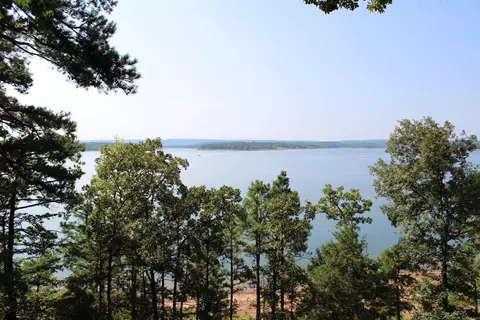 View/Area - 24 Roberts Rd, Edgemont, AR 72044 photo 2 of 14