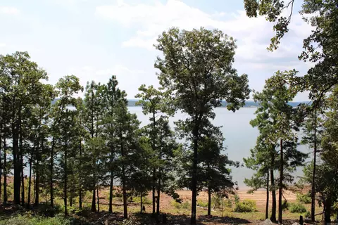 View/Area - 24 Roberts Rd, Edgemont, AR 72044 photo 6 of 14