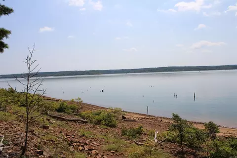 View/Area - 24 Roberts Rd, Edgemont, AR 72044 photo 8 of 14