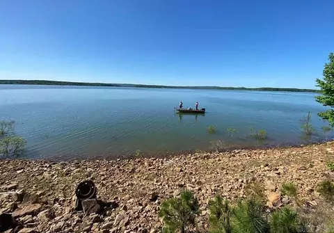 View/Area - 24 Roberts Rd, Edgemont, AR 72044 photo 1 of 14