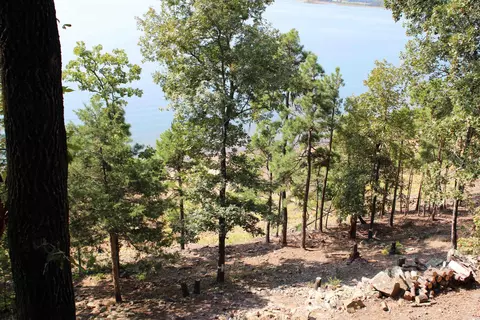 View/Area - 24 Roberts Rd, Edgemont, AR 72044 photo 4 of 14