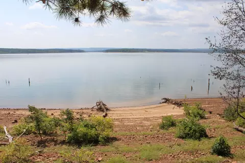 View/Area - 24 Roberts Rd, Edgemont, AR 72044 photo 7 of 14