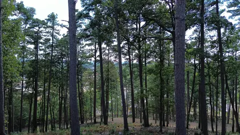 tbd Magnolia 2nd St, Mena, AR 71953 photo 5