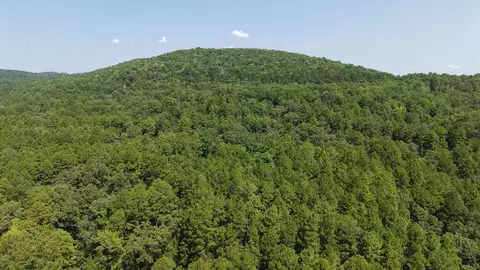 400 Hidden Crk, Melbourne, AR 72556 photo 29