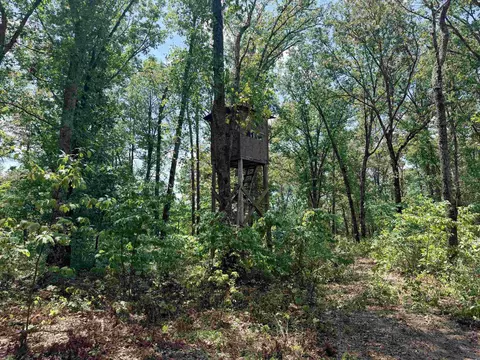 400 Hidden Crk, Melbourne, AR 72556 photo 15