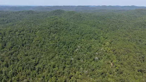 400 Hidden Crk, Melbourne, AR 72556 photo 7