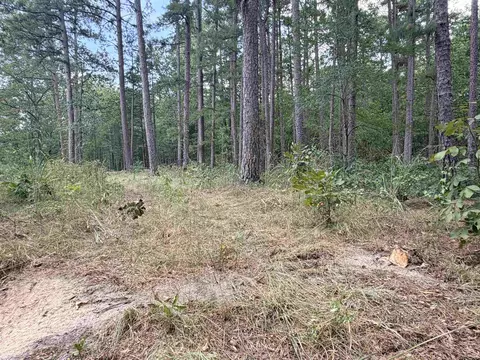 400 Hidden Crk, Melbourne, AR 72556 photo 12