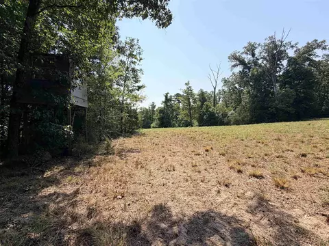 400 Hidden Crk, Melbourne, AR 72556 photo 13