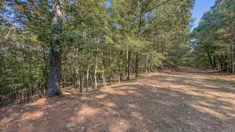 0 County Road 404, Lafe, AR 72436 photo 3