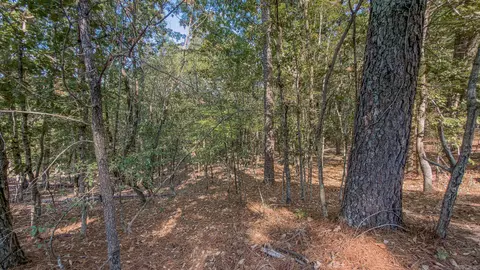 0 County Road 404, Lafe, AR 72436 photo 4
