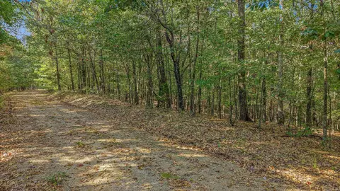 0 County Road 404, Lafe, AR 72436 photo 5