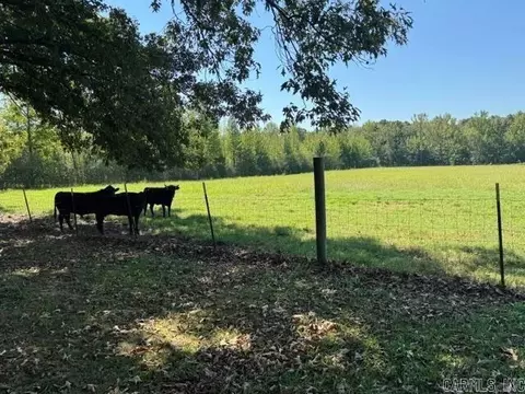 Other - 366 Jaybird Ln, Searcy, AR 72143 photo 6 of 14