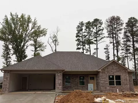 332 Millie Ct, Austin, AR 72207