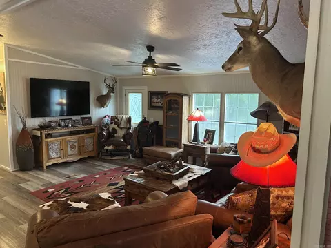 545 H St, Clinton, AR 72031 photo 5