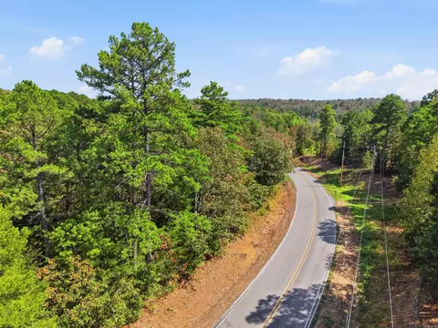 0 Rocky Gap Rd, Conway, AR 72034 photo 11