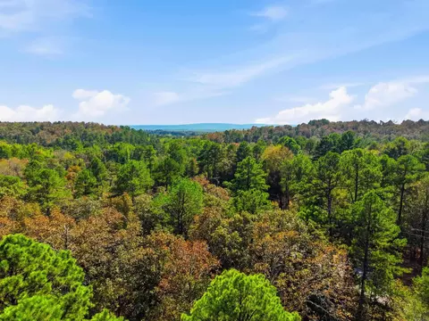 0 Rocky Gap Rd, Conway, AR 72034 photo 13