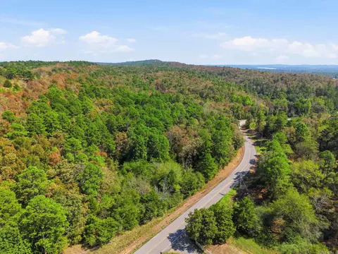 0 Rocky Gap Rd, Conway, AR 72034 photo 9