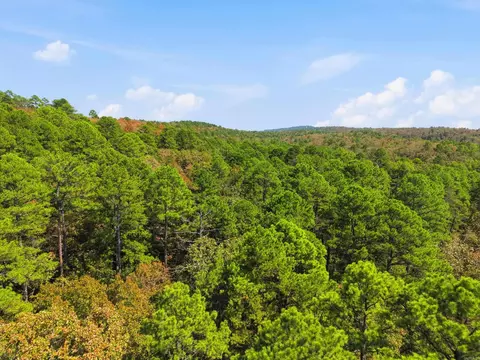 0 Rocky Gap Rd, Conway, AR 72034 photo 2
