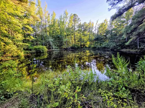 000 Rodgers Rd, Rison, AR 71665 photo 5