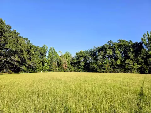 000 Rodgers Rd, Rison, AR 71665 photo 2