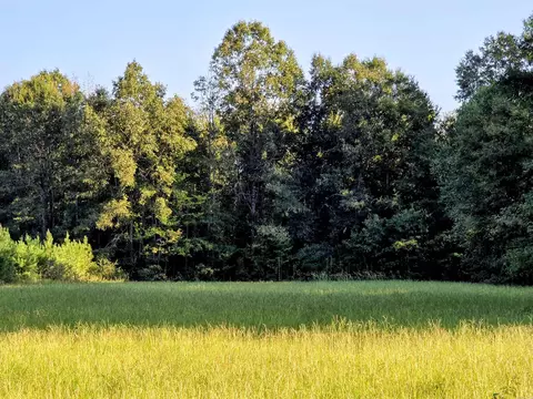 000 Rodgers Rd, Rison, AR 71665 photo 4