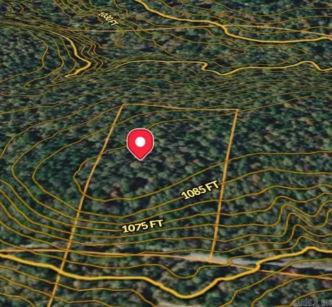 00 Polk 767 Rd, Mena, AR 71953 photo 6