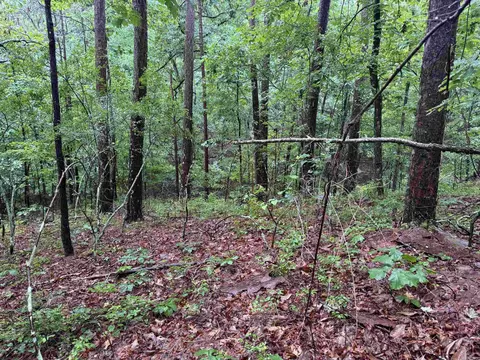 79 Greco Way, Hot Springs Village, AR 71909