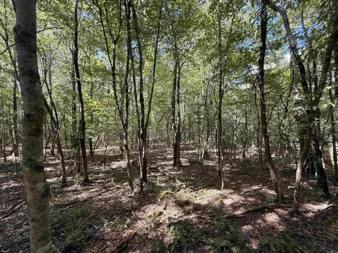 tbd Reed Rd, Alexander, AR 72002 photo 3