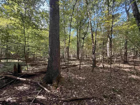 tbd Reed Rd, Alexander, AR 72002 photo 2