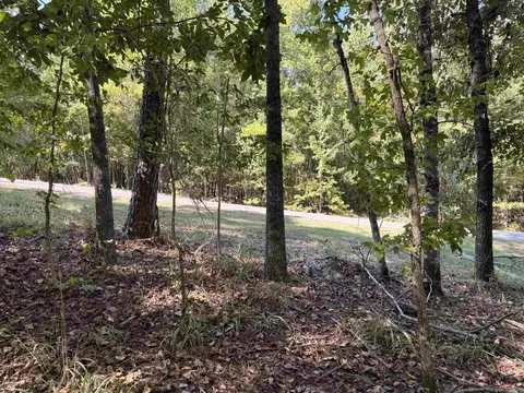 tbd Reed Rd, Alexander, AR 72002 photo 5