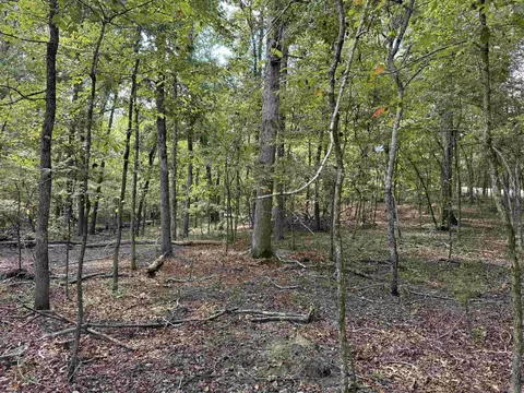 tbd Reed Rd, Alexander, AR 72002 photo 4