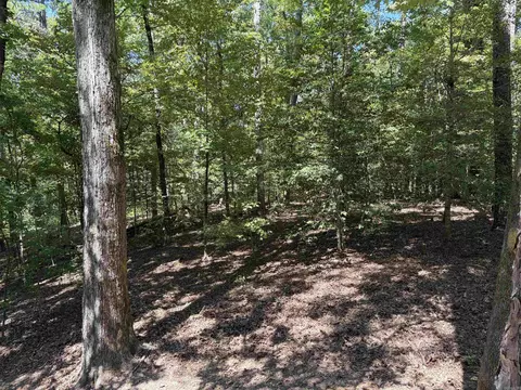 Exterior - 138 Silver Point Dr #14 D, Mount Ida, AR 71957 photo 8 of 11