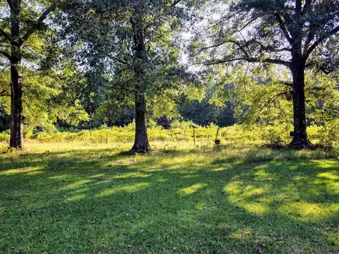 Exterior - 5780 Rodgers Rd E, Rison, AR 71665 photo 4 of 6