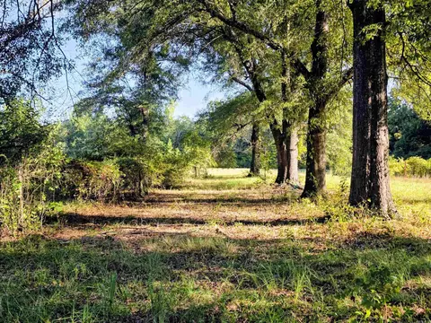 Exterior - 5780 Rodgers Rd E, Rison, AR 71665 photo 5 of 6