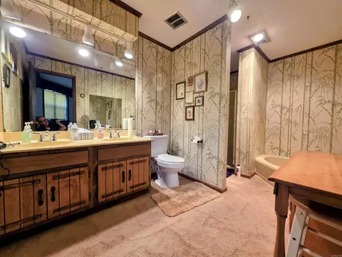 Bath - 5780 Rodgers Rd E, Rison, AR 71665 photo 2 of 2